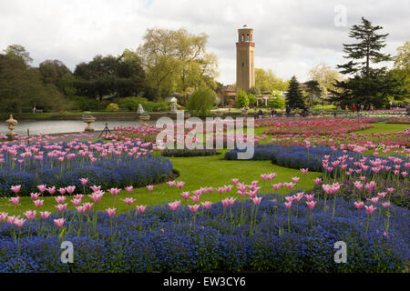 Blumenausstellung in den Kew Gardens mit dem Campanile-Rauchstapel im Hintergrund. London, England Stockfoto