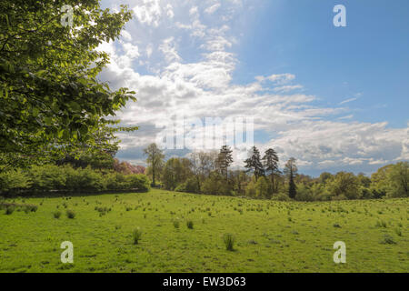 Blick vom Clandon Park in West Clandon, Guildford, Surrey, South East England im Vereinigten Königreich den Toren Landschaft. Stockfoto