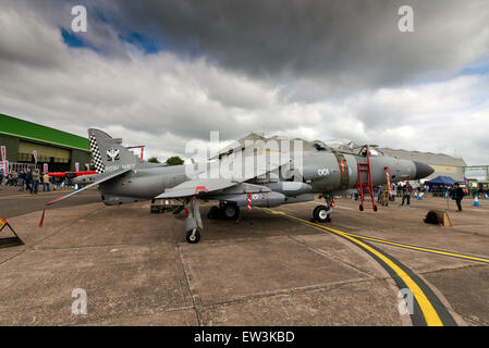 BAE Systeme Sea Harrier F/A2, ZH796 / 001 / L, Royal Navy Raf Cosford Air Show England Uk Stockfoto