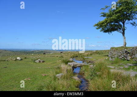 Clapper Bridge & Longash Leat hinter vier Winde Parkplatz, Foggintor Schule, erbaut 1914 (geschlossene 1936), Dartmoor, Devon Stockfoto