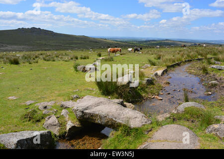 Klöppel-Brücke und Longash Leat Blick Richtung Königs Tor, Merrivale, Dartmoor National Park, Devon, England Stockfoto