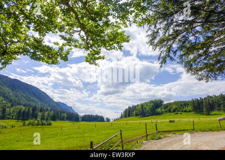 Alm, Maumau-Wiese, Losenheim, Schneeberg, Niederösterreich, Österreich Stockfoto