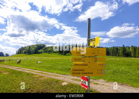 Alm, Maumau-Wiese, Losenheim, Schneeberg, Niederösterreich, Österreich Stockfoto