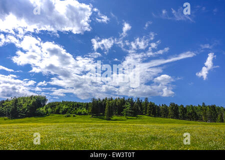 Alm, Maumau-Wiese, Losenheim, Schneeberg, Niederösterreich, Österreich Stockfoto
