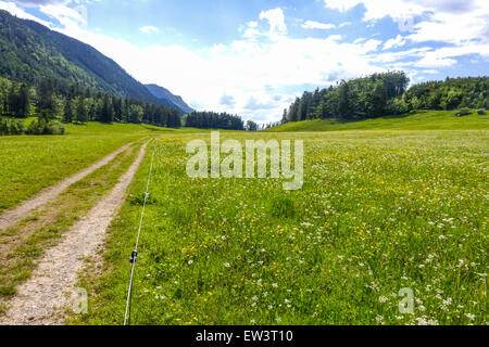 Alm, Maumau-Wiese, Losenheim, Schneeberg, Niederösterreich, Österreich Stockfoto