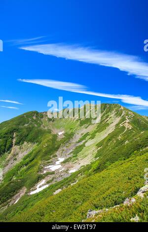 Südalpen Mt. Senjougatake, Yamanashi, Japan Stockfoto