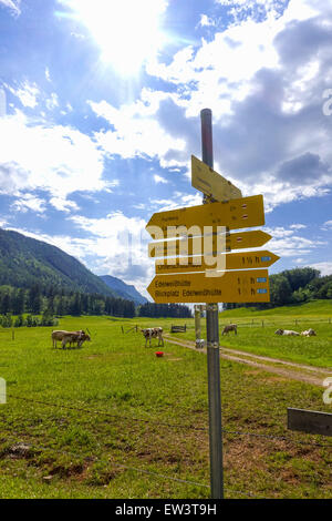 Alm, Maumau-Wiese, Losenheim, Schneeberg, Niederösterreich, Österreich Stockfoto