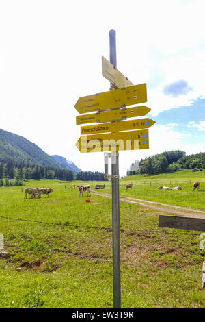 Alm, Maumau-Wiese, Losenheim, Schneeberg, Niederösterreich, Österreich Stockfoto