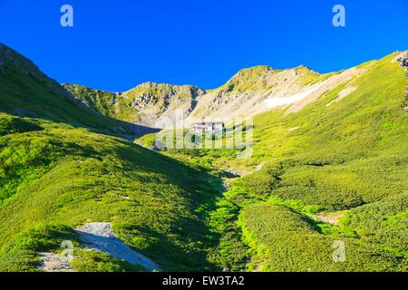 Südalpen Mt. Senjougatake, Yamanashi, Japan Stockfoto