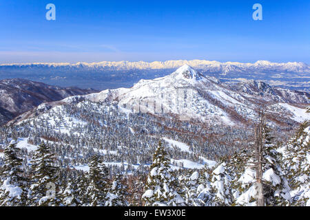 Shiga Kogen Resort im Winter, Nagano, Japan Stockfoto