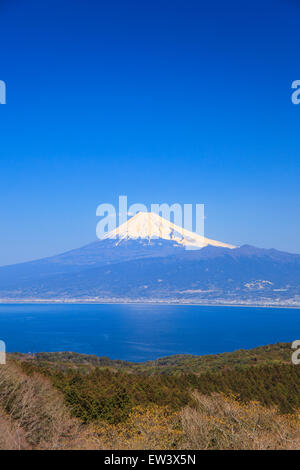 Mt. Fuji und die Suruga-Bucht von Darumayama Plateau, Izu-Halbinsel, Japan Stockfoto