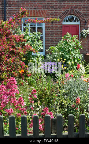 Vorgarten eines kleinen Reihenhauses, norwich, norfolk, england Stockfoto