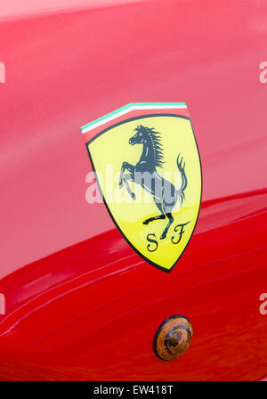Close up of a Ferrari car badge, Essex classic car show UK Stockfoto