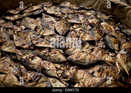 Rauch-Fisch in Sierra Leone Fischen Dorf Sulima trocknen Stockfoto