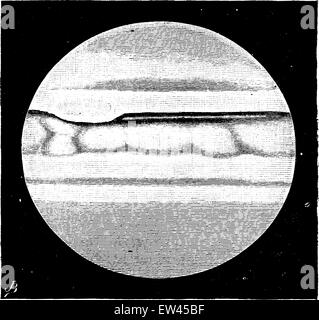 Jupiter ist eine Welt, in ihrer Entstehung, Vintage gravierten Abbildung. Erde vor den Menschen – 1886. Stock Vektor