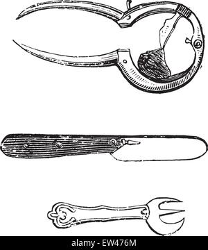 Austern-Tool, graviert Vintage Illustration. Stock Vektor