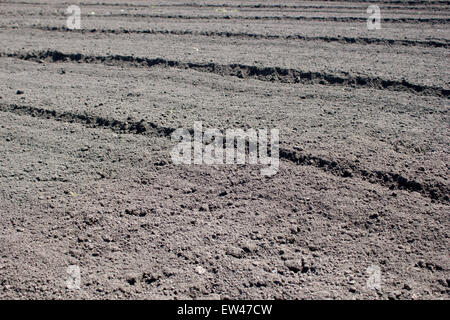 Frisch gepflügtes Feld im Frühjahr bereit für den Anbau Stockfoto