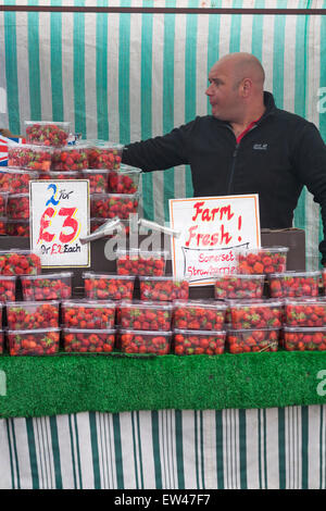 Standinhaber mit Bauernhof frischen Somerset Erdbeeren für den Verkauf auf Marktstand in Dorchester, Dorset, Großbritannien im Juni Stockfoto