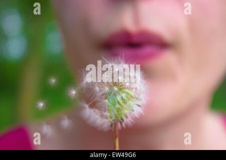 Frau bläst Löwenzahnsamen Stockfoto