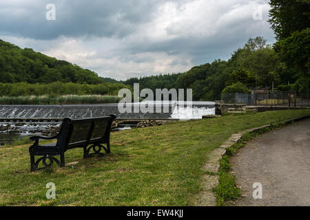 Lopwell Verdammung auf dem Fluß Tavy, England Stockfoto