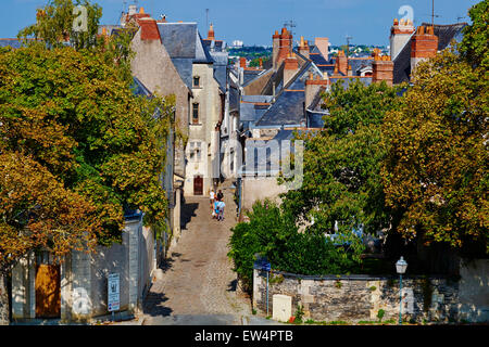 Frankreich, Maine-et-Loire, Angers, Dach der Stadt Stockfoto