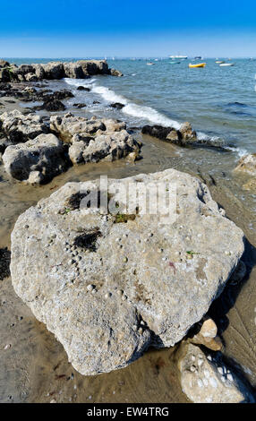 Ausgewaschene Felsen gefallen von exponierten Felsen Füllung mit Algen als Zement-Rendering, das Meer in der Sonne verdunstet Stockfoto