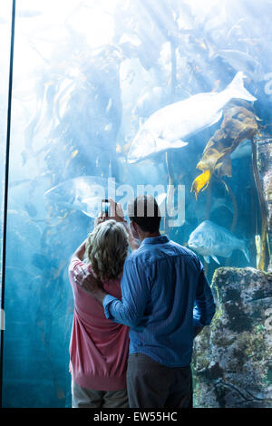 Blick auf ein paar nehmen Foto von Fisch zu tragen Stockfoto