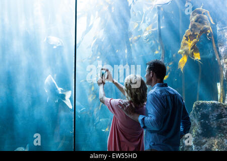 Paar nehmen Foto von Fischen in den tank Stockfoto