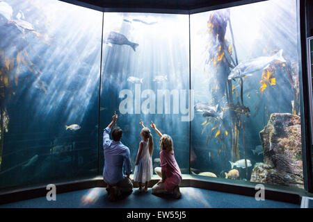 Familie zeigt einen Fisch im tank