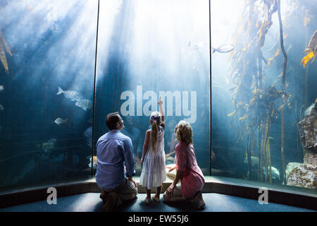 Tochter zeigt einen Fisch, während ihre Mutter und Vater Aquarium betrachten