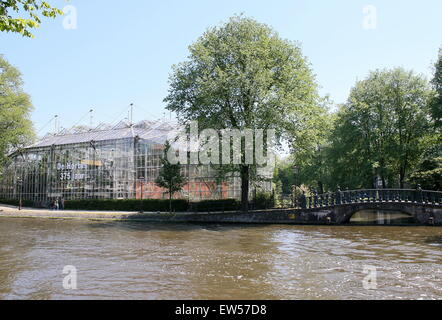 Hortus Botanicus Botanischer Garten in der Plantage von Amsterdam, die Niederlande. Eines der ältesten der Welt. Stockfoto