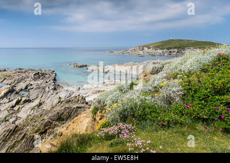 Die zerklüftete Küste von Newquay in Cornwall. Stockfoto