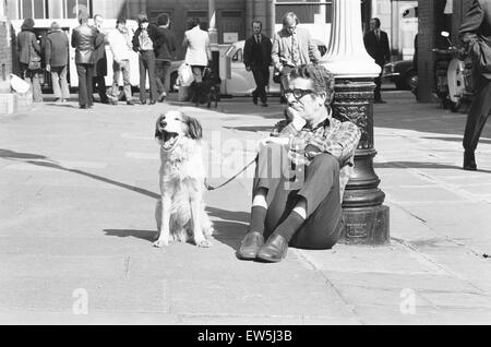 Der Hund, die hat zu gähnen zu bestellen. 27. März 1973 fand ein Vorsingen in Broad Court aus Drury Lane, London, um einen ruhigen gelangweilt Mischling Hund, in der Lage, auf ein Stichwort Gähnen zu finden. Der Hund musste für den Teil der Krabbe in den Felsen musikalische "zwei Herren von Veron Stockfoto