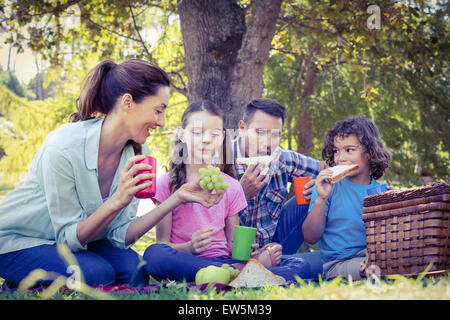 Glückliche Familie mit einem Picknick im park Stockfoto