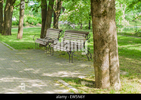 Stilvolle Bänke im Sommerpark Stockfoto