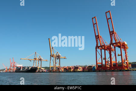 Baltic Containerterminal in Gdynia, Polen Stockfoto