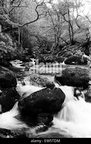 Plas Dol-y-Moch, Coventry Outdoor Education Centre liegt im Herzen des Snowdonia National Park. Malerische Aussicht auf die Gegend, wo die Jugendlichen Aktivitäten durchführen. Maentwrog, Gwynedd, Wales, 26. Oktober 1987. Stockfoto