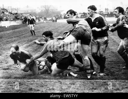 Llanelli V Australia Rugby match, während der Australien-Tour von Großbritannien und Irland. Llanelli gewonnen: Llanelli 19, Australien 16. Tor für Llanelli aufsetzen ist Flanker Jeremy Cooper. 20. November 1984. Stockfoto