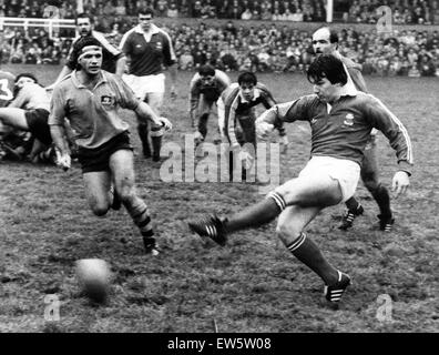 Llanelli V Australia Rugby match, während der Australien-Tour von Großbritannien und Irland. Llanelli gewonnen: Llanelli 19, Australien 16. Llanelli 15 Punkt Held Gary Pearce hält den Ball nach vorne gehen. 20. November 1984. Stockfoto