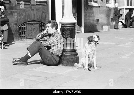 Der Hund, die hat zu gähnen zu bestellen. 27. März 1973 fand ein Vorsingen in Broad Court aus Drury Lane, London, um einen ruhigen gelangweilt Mischling Hund, in der Lage, auf ein Stichwort Gähnen zu finden. Der Hund musste für den Teil der Krabbe in den Felsen musikalische "zwei Herren von Veron Stockfoto