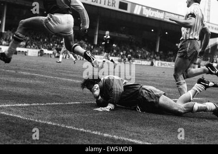 Divison ein Spiel Aston Villa 6-2 Everton gehalten im Villa Park. Neville Southall. 5. November 1989. Stockfoto