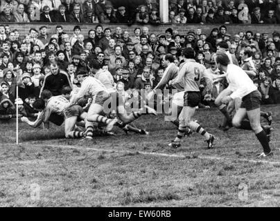 Llanelli V Australia Rugby match, während der Australien-Tour von Großbritannien und Irland. Llanelli gewonnen: Llanelli 19, Australien 16. 20. November 1984. Stockfoto