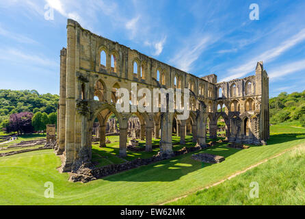 Ruinen von Rievaulx Abbey, in der Nähe von Helmsley, North Yorkshire, England, UK Stockfoto