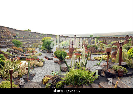 Lanzarote, Kanarische Inseln. Verschiedenen Kakteen wachsen in einem Kaktus-Park, entworfen von dem Künstler Cesar Manrique. Stockfoto