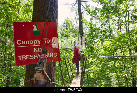 Eine 70 Fuß über dem Boden auf einem Brett zu Fuß oder Spaziergang in den Wolken; Canopy-Tour im Haliburton Highlands Wald in Ontario; Kanada Stockfoto