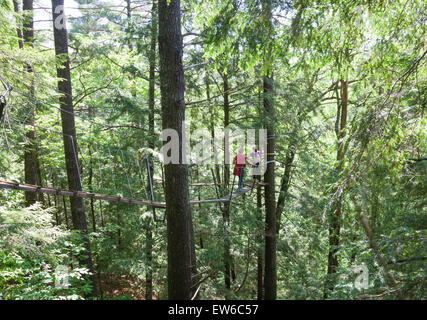 Eine 70 Fuß über dem Boden auf einem Brett zu Fuß oder Spaziergang in den Wolken; Canopy-Tour im Haliburton Highlands Wald in Ontario; Kanada Stockfoto