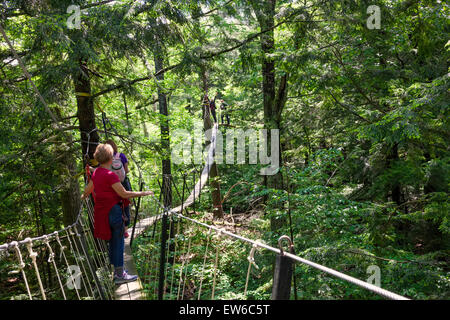 Eine 70 Fuß über dem Boden auf einem Brett zu Fuß oder Spaziergang in den Wolken; Canopy-Tour im Haliburton Highlands Wald in Ontario; Kanada Stockfoto