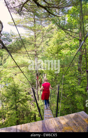 Eine 70 Fuß über dem Boden auf einem Brett zu Fuß oder Spaziergang in den Wolken; Canopy-Tour im Haliburton Highlands Wald in Ontario; Kanada Stockfoto