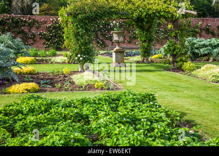 Der Gemüsegarten in den ummauerten Gärten von Bowood House in Wiltshire. Stockfoto