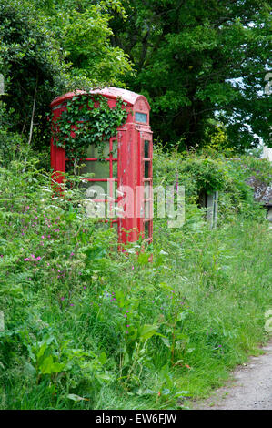 Kultige BT rote Telefonzelle in ländlichen Devon (Dartmoor) zeigen Verfall, mangelnde Nutzung und Nachfrage und Verfall. Ref ländlichen Breitband Stockfoto